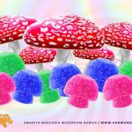 Empowering Wellness: Amanita Muscaria Benefits Discussed