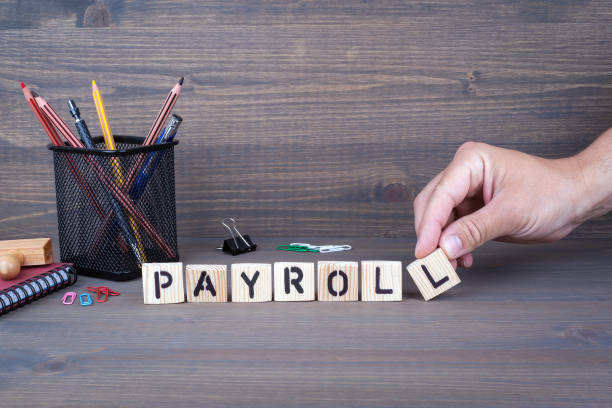 Expert Payroll Solutions: From Startups to Enterprises