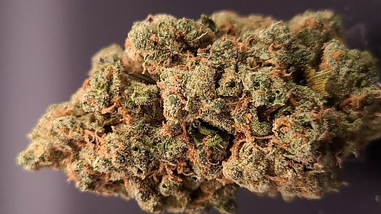 THCA Flower The Key to Unlocking Cannabinoid Synergy